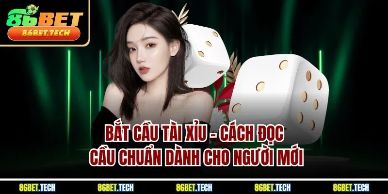 Bắt Cầu Tài Xỉu | Cách Đọc Cầu Chuẩn Dành Cho Người Mới