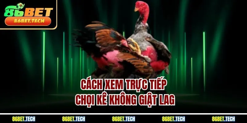 Cách xem trực tiếp chọi kê không giật lag