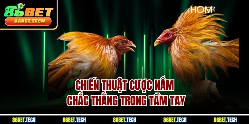 Chiến thuật cược nắm chắc thắng trong tầm tay