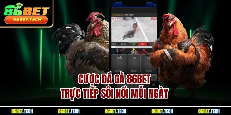 Cược đá gà 86BET trực tiếp sôi nổi mỗi ngày