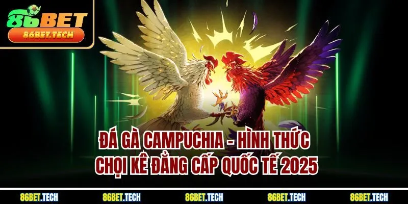 Đá Gà Campuchia | Hình Thức Chọi Kê Đẳng Cấp Quốc Tế 2025