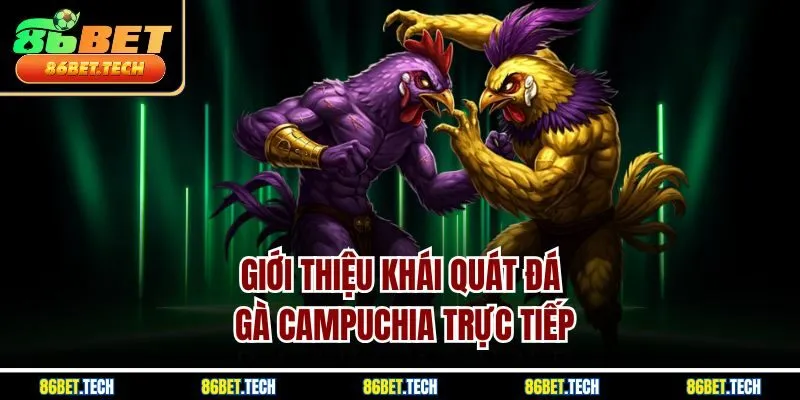 Giới thiệu khái quát đá gà Campuchia trực tiếp