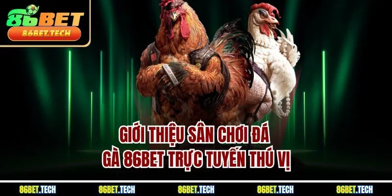 Giới thiệu sân chơi đá gà 86BET trực tuyến thú vị