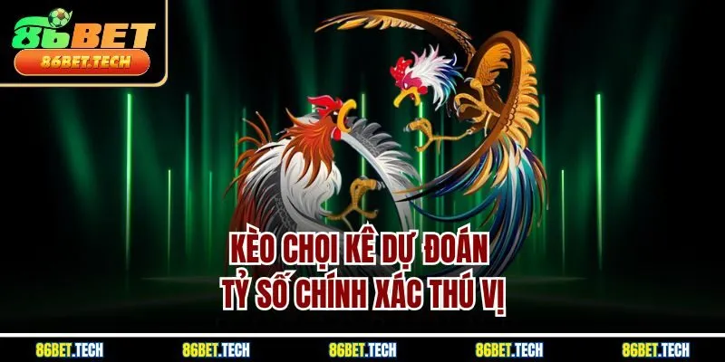 Kèo chọi kê dự đoán tỷ số chính xác thú vị