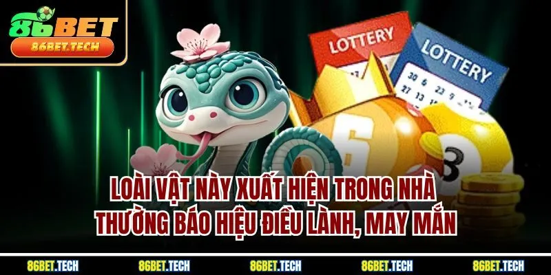 Loài vật này xuất hiện trong nhà thường báo hiệu điều lành, may mắn