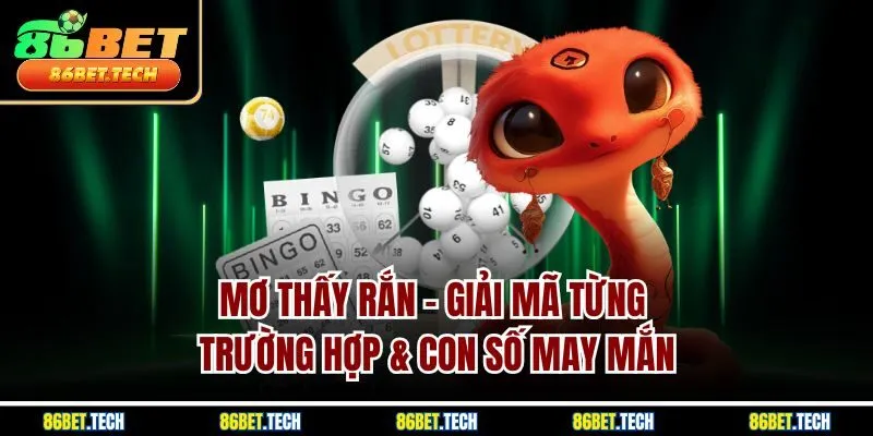 Mơ Thấy Rắn | Giải Mã Từng Trường Hợp & Con Số May Mắn