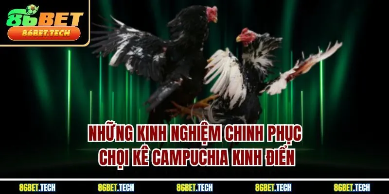Những kinh nghiệm chinh phục chọi kê Campuchia kinh điển