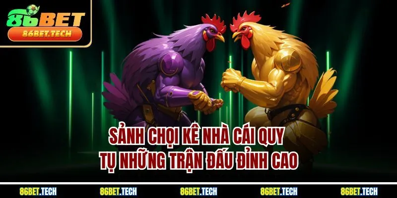 Sảnh chọi kê nhà cái quy tụ những trận đấu đỉnh cao