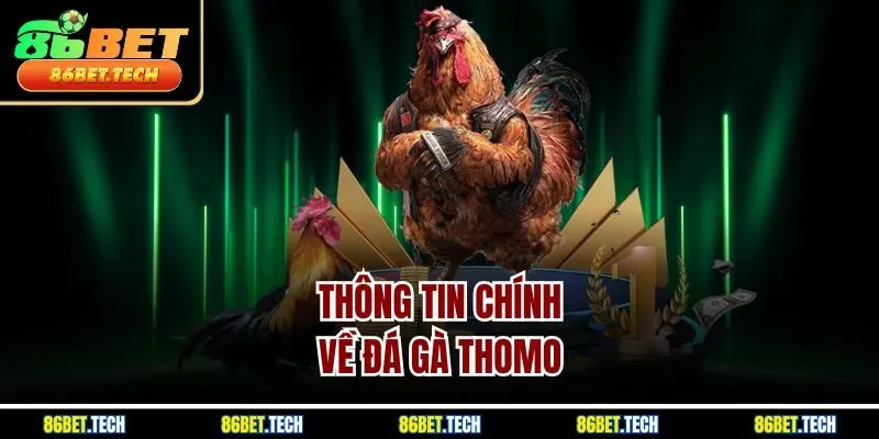 Thông tin chính về đá gà Thomo