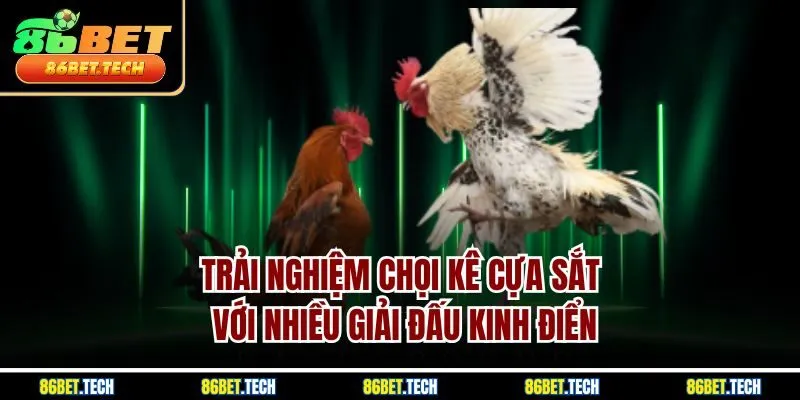 Trải nghiệm chọi kê cựa sắt với nhiều giải đấu kinh điển