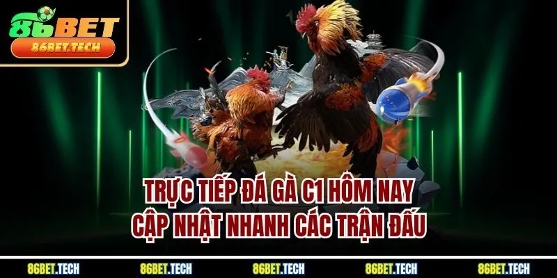 Trực Tiếp Đá Gà C1 Hôm Nay – Cập Nhật Nhanh Các Trận Đấu